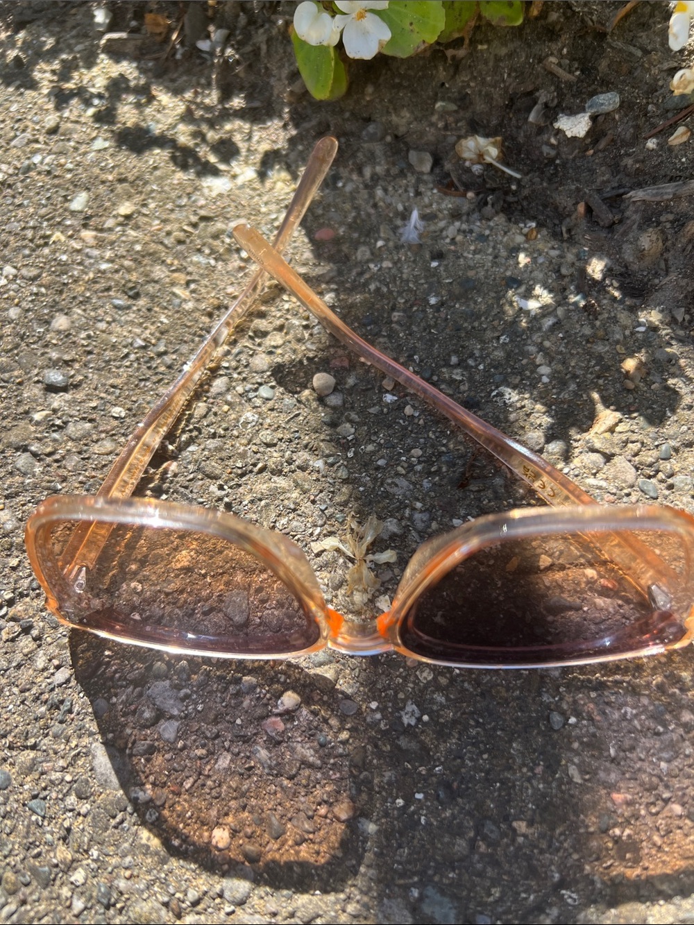 Jessica Simpson Amber Translucent Square Sunglasses